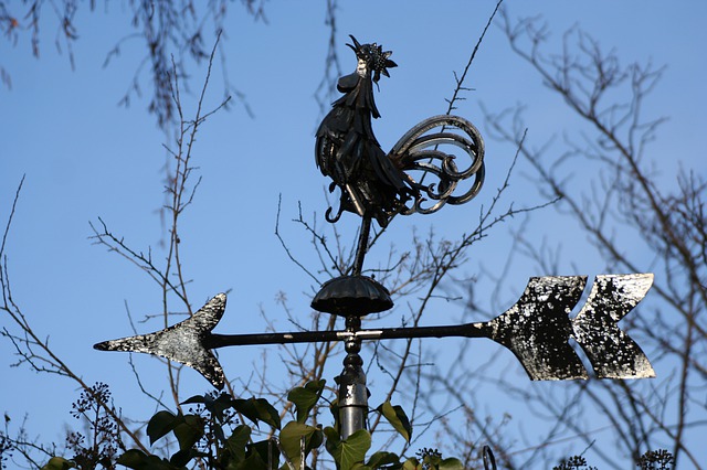 kovaná větrná korouhvička.jpg